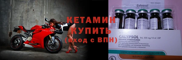 гидра Карпинск