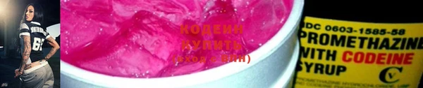 гидра Карпинск