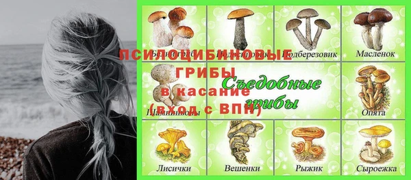 гидра Карпинск