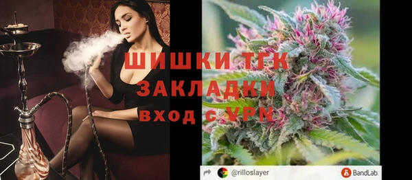 гидра Карпинск