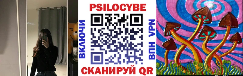 Купить где  Галич  Галлюциногенные грибы Cubensis 